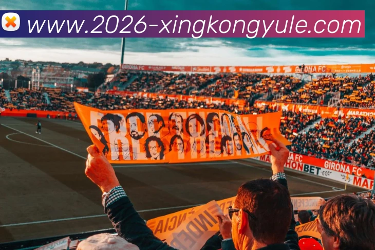 多媒体互动体验